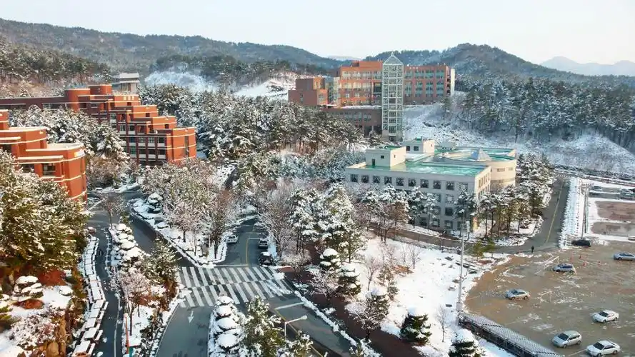 新罗大学