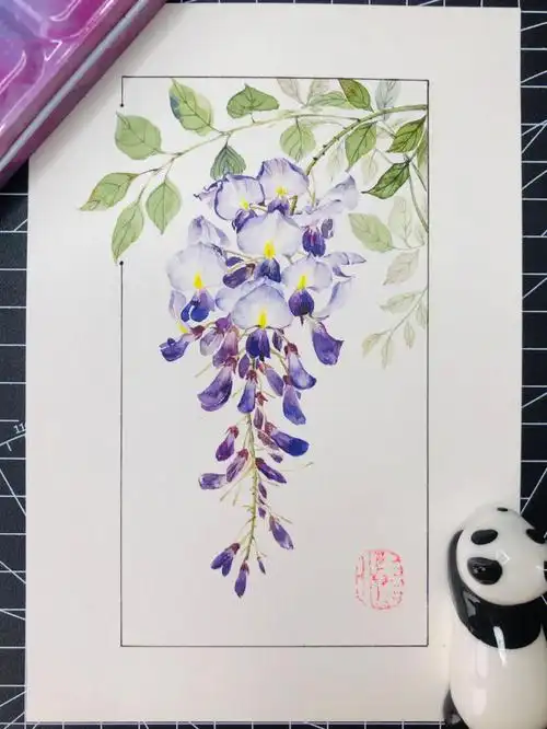 水彩紫藤花手绘2