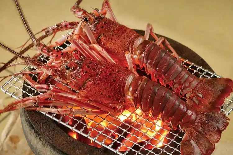 日本龙虾 (伊势海老 いせえび)