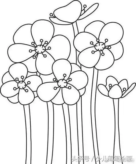 花儿简笔画花儿简笔画图片大全简单