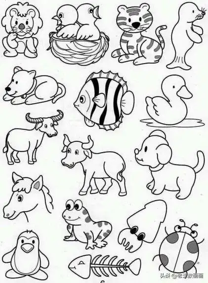 各种小动物的100种画法,简单实用的素材