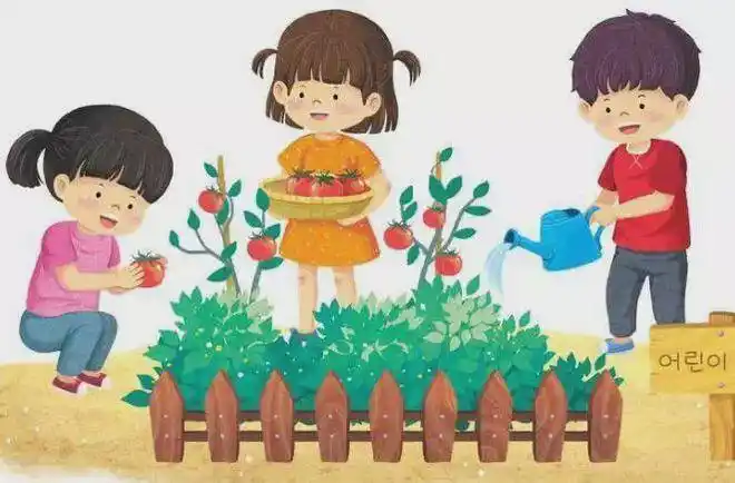 小学生看图写话种植蔬菜练习题附写作思路给孩子看看