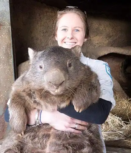 世界上最大的老鼠长1米重18斤