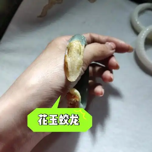 花玉蛟龙