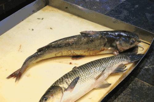 600_400gif 动态图 动图