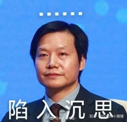 加俩雷总表情包,嘻嘻