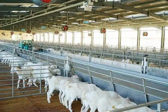 智慧养羊场的物联网数据化解决方案