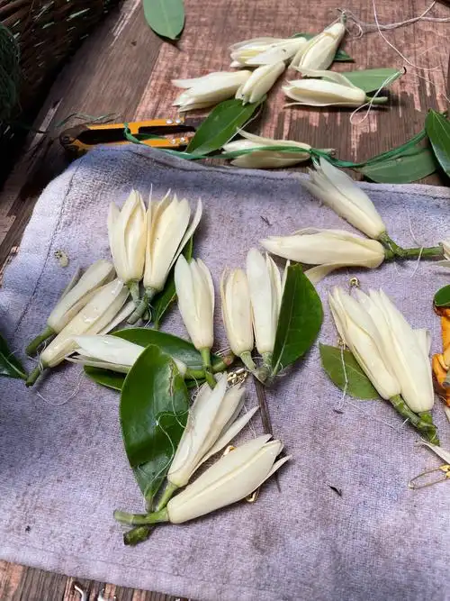 街头卖白兰花的老奶奶