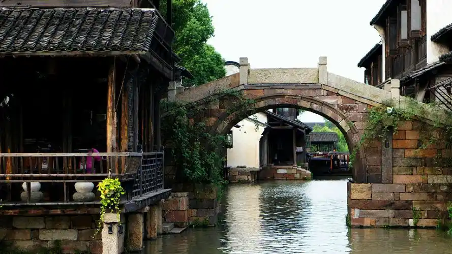 古镇的小石桥,桥面的浮雕已磨平,桥上倒挂青秧苗,这桥连桥啊路连路啊