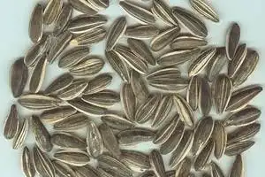 向日葵籽·美食一生图片-meishi13.com