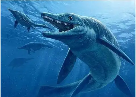 远古鲨鱼古代鲨鱼图片