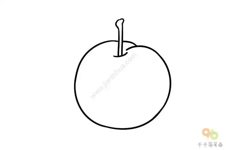 紫色的李子简笔画