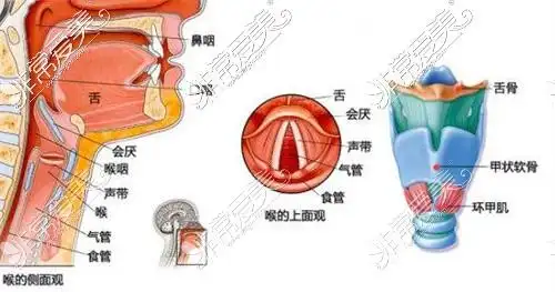 女生能做喉结缩小手术吗技术费用风险副作用提前告知