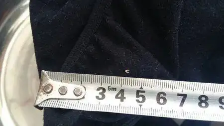 认识虫子的看看是什么虫,5毫米长,洗衣机甩完衣服,衣服上面带着的