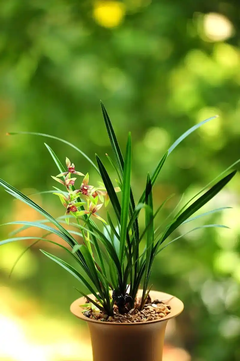 ai扩图 今天是9月15日,星期日,农历八月十三,早安