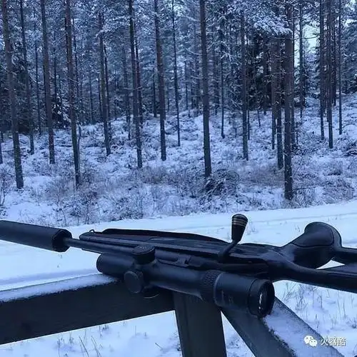 山野的呼唤德国blaser猎枪美图