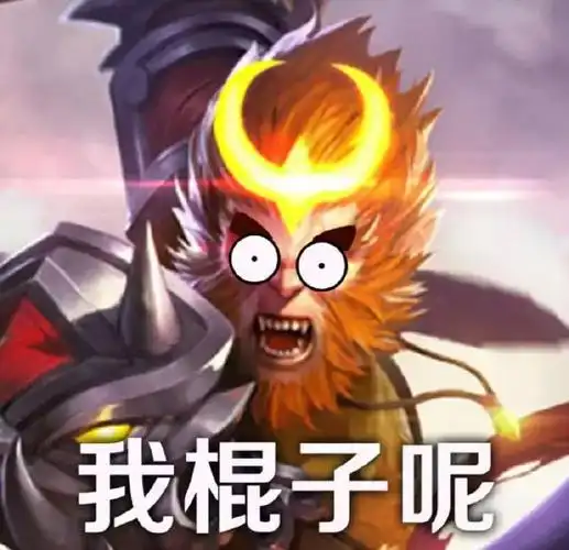 王者荣耀#斗图表情包宫本武藏:我的刀呢