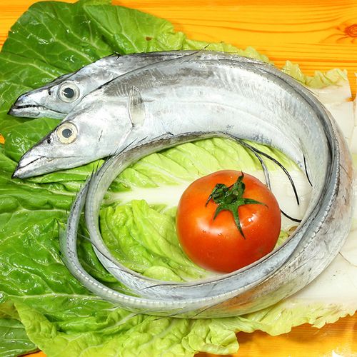 三座海 带鱼 烟台大带鱼新鲜大刀鱼 整条海鱼海鲜  海鲜礼盒 年货礼盒