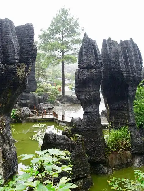 黑山谷,龙鳞石海景区旅行
