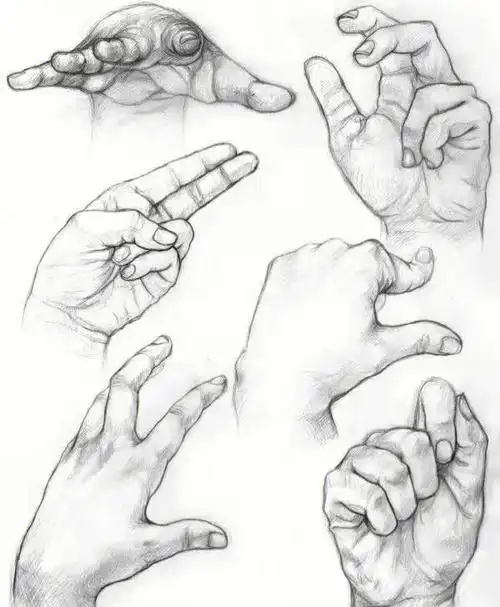 速写一定会练习的手部结构