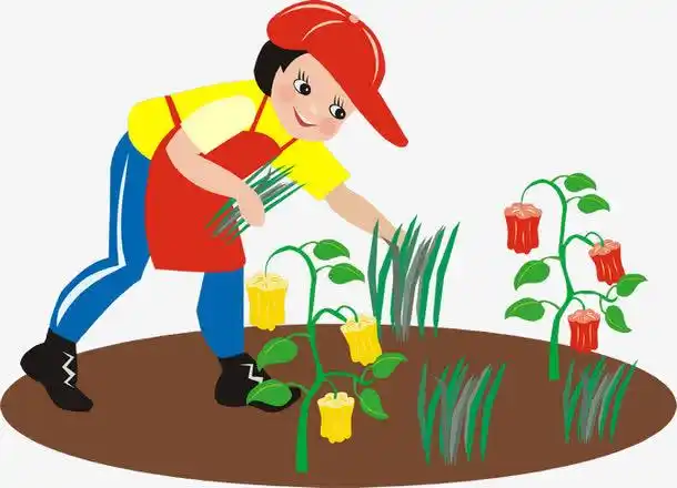 关键词 : 女孩,蔬菜,种菜,手绘[声明] 觅元素所有素材为用户免费分享