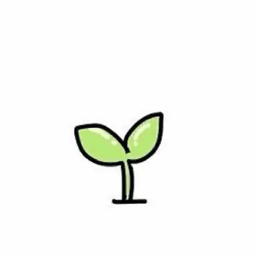 石缝中的小嫩芽灬