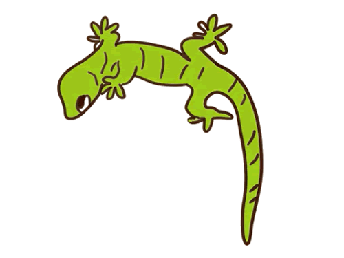 绿色壁虎简笔画