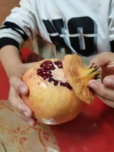 剥石榴