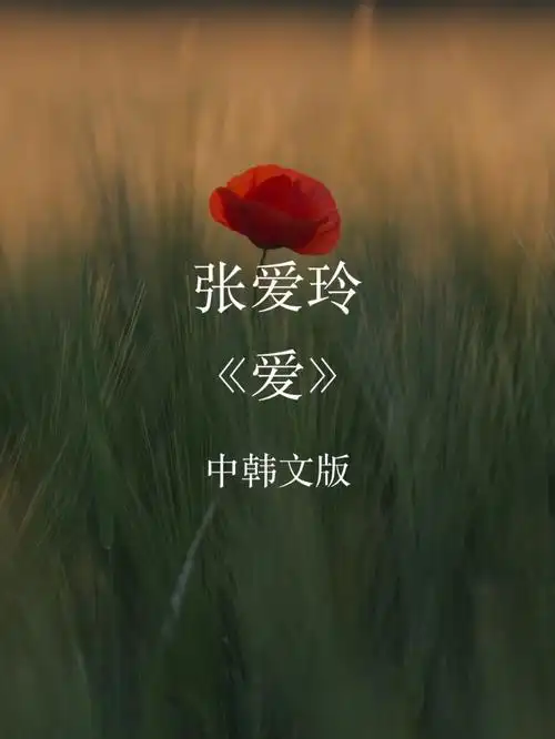 张爱玲61爱中韩文图片版