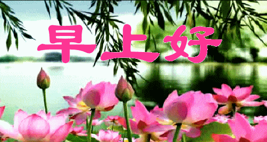 4月16日清晨早上好问候祝福表情图片 最新早安问候语图片表情