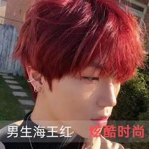 海王红染发剂膏流行樱木花道棕男士专用颜色纯植物自己在家染头发