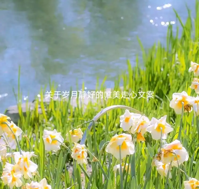 关于岁月静好的唯美走心文案#朋友圈文案 #文案 #岁月静好安 - 抖音