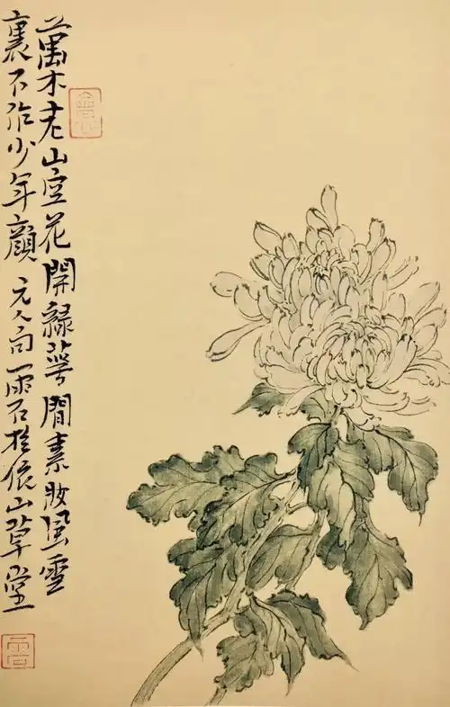 江南收藏61书画艺术秋菊有佳色雨石写菊