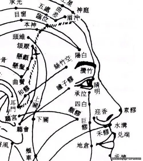 我想知道人的头部穴位的详细分布图