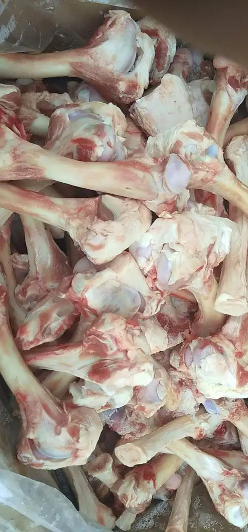 羊骨头怎么做好吃「羊骨头怎么做好吃而且没有腥味」