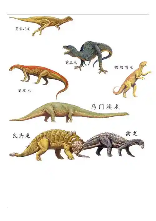 恐龙资料以及图片