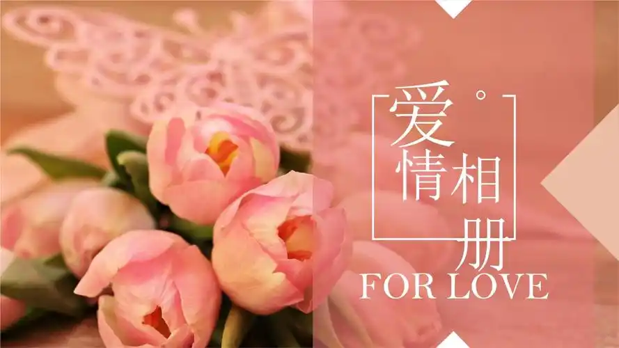 粉色爱情相册浪漫粉嫩告白ppt模板.pptx