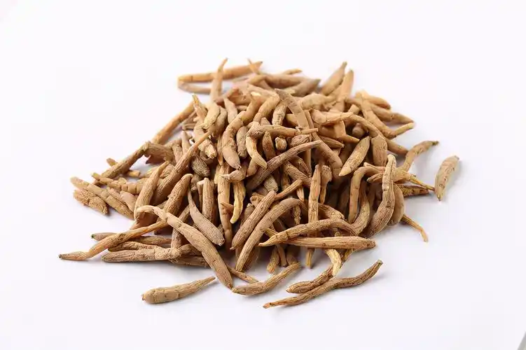 太子参是属于凉性还是热性的呢太子参的功效与作用及禁忌有哪些