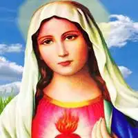 天主教圣母头像_微信头像图片大全