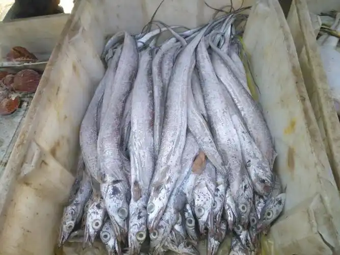 大集上有一种"无头鱼",问过好多人都不知道它叫啥,你知道吗?