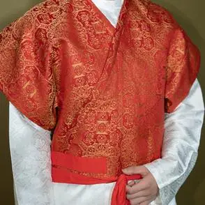 惜物国风馆唐制交领汉服织锦宝相团花半袖唐半臂唐圆领袍打底衫