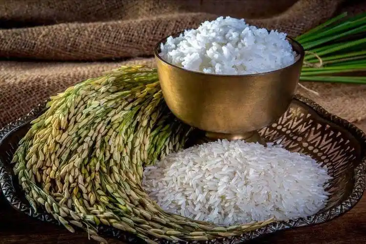 网友:比啥,没有可比性_种植_口感_水稻