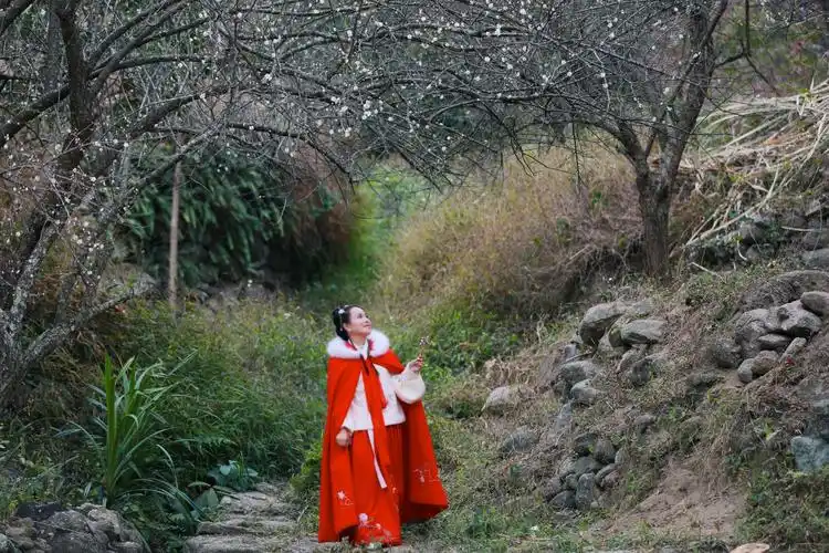 踏雪寻梅——传春报喜,摄影:利箭,出镜:芬芬,后期:芬芬,拍摄地点:广西