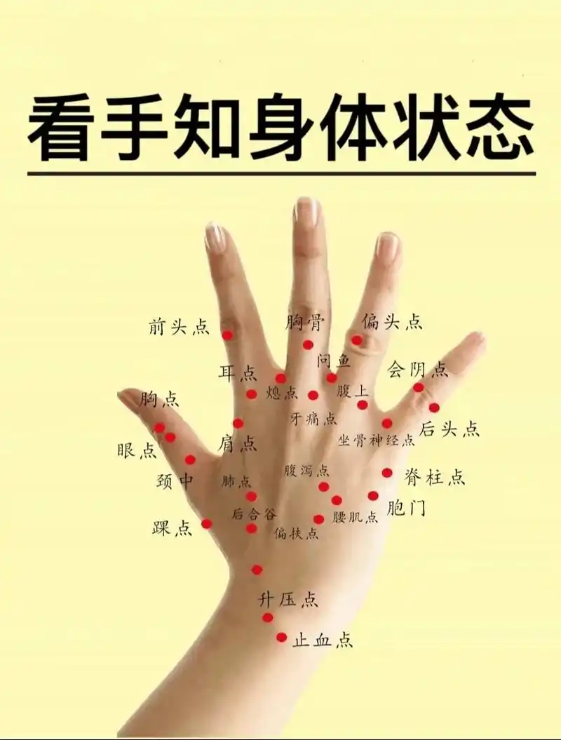 手部反射区,看手知身体状态疏通五脏.6015.