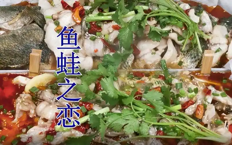 特色菜鱼蛙之恋,鲜香爽辣,高端大气,物美价廉,客人来有面子_哔哩哔哩