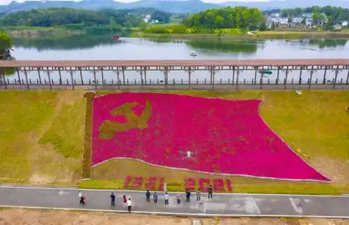 武汉最美乡村现巨幅鲜花党旗,成五一旅游热门打卡地