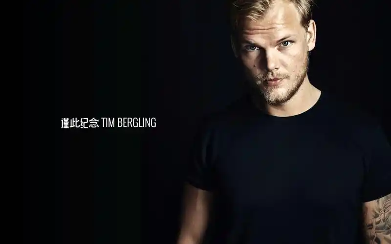 avicii 致敬a神音游 the nights