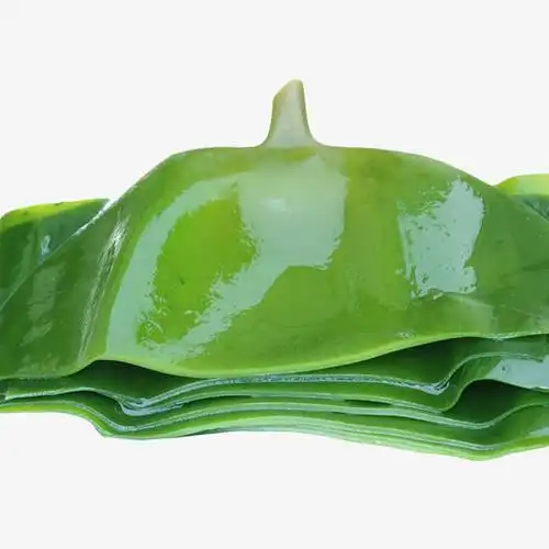 海带切片免抠素材免费下载_觅元素51yuansu.com