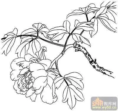 花朵锦簇简笔画