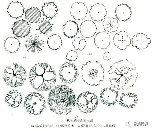 基础学堂 | 园林平面图绘制